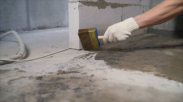 SJ Waterproofing Pros Emergency Waterproofing coverage map for Mount Carmel, TN and surrounding area